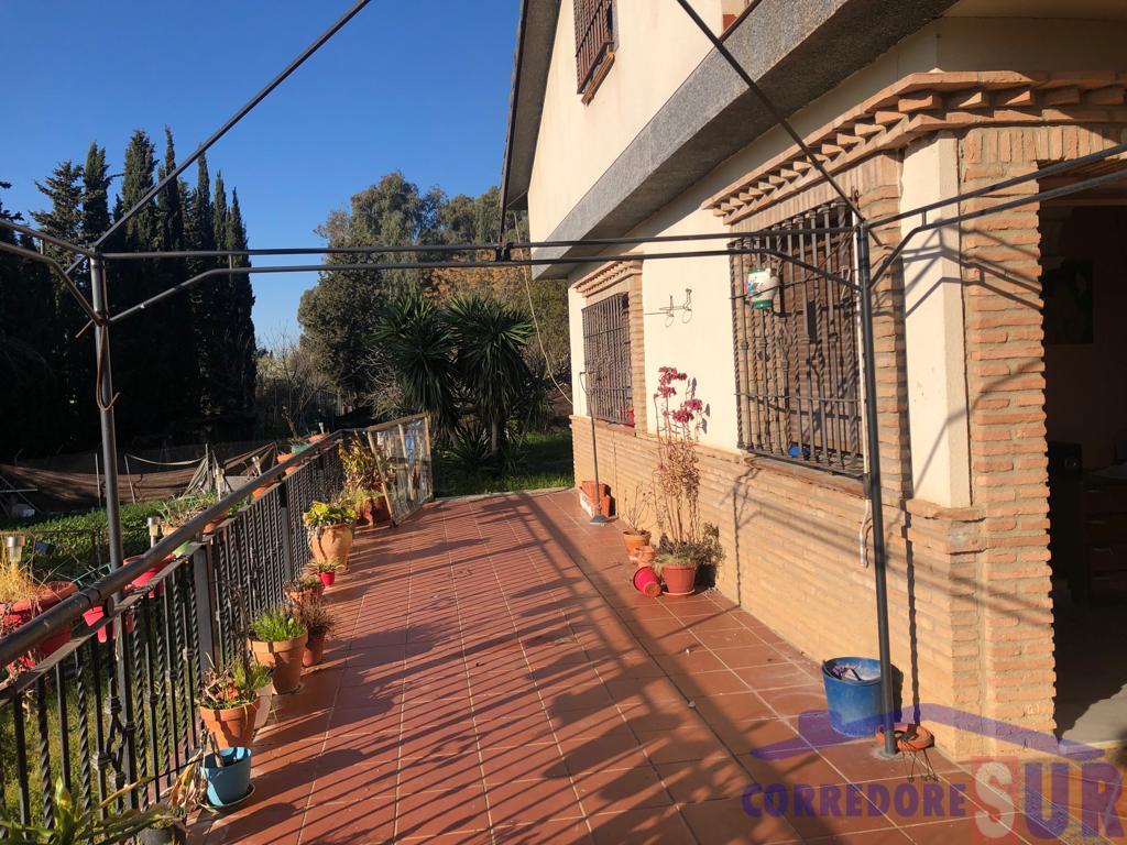 Chalet en Alcolea