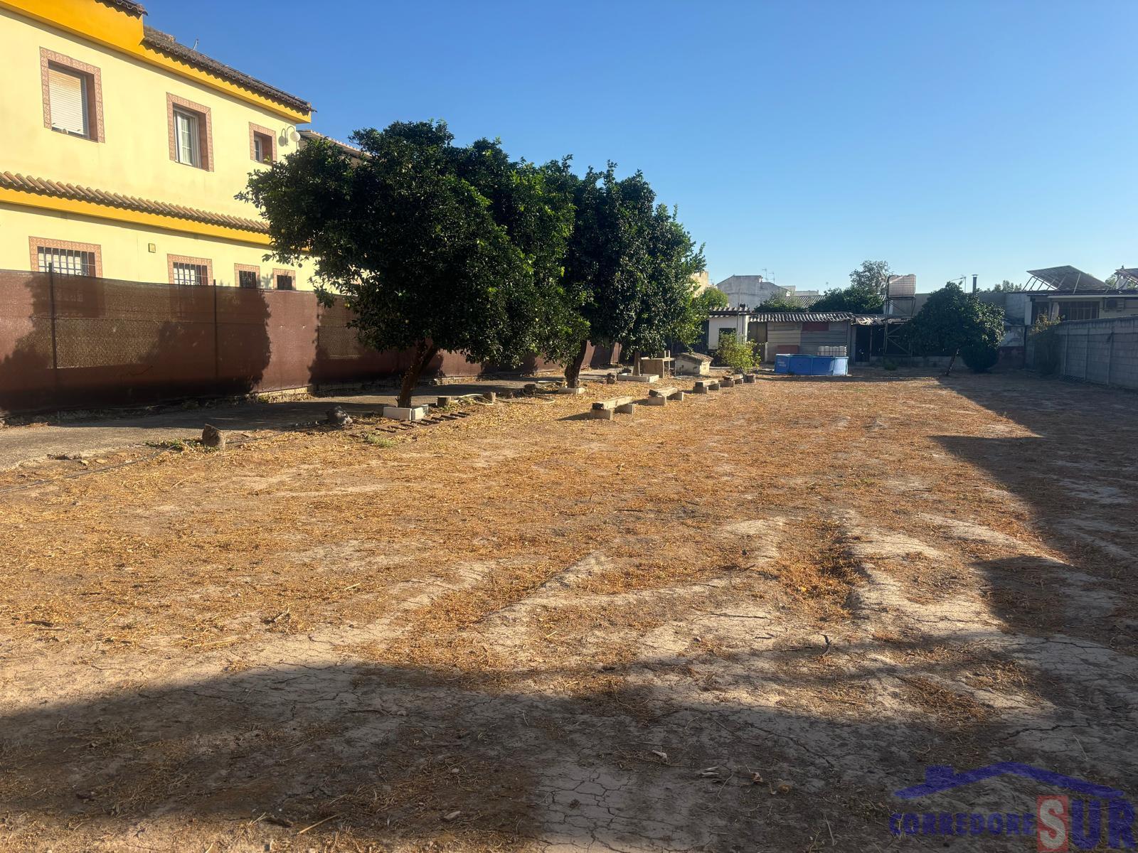Finca rústica en Alcolea