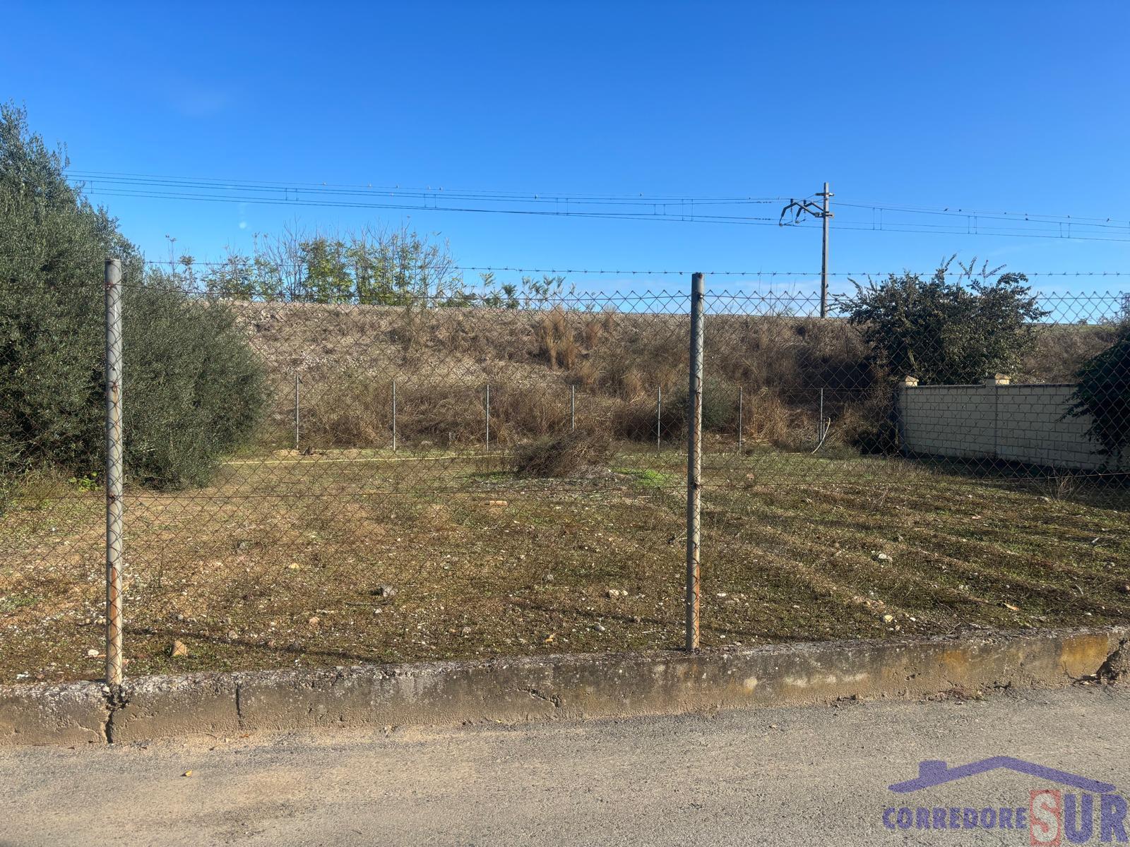 Terreno en Alcolea