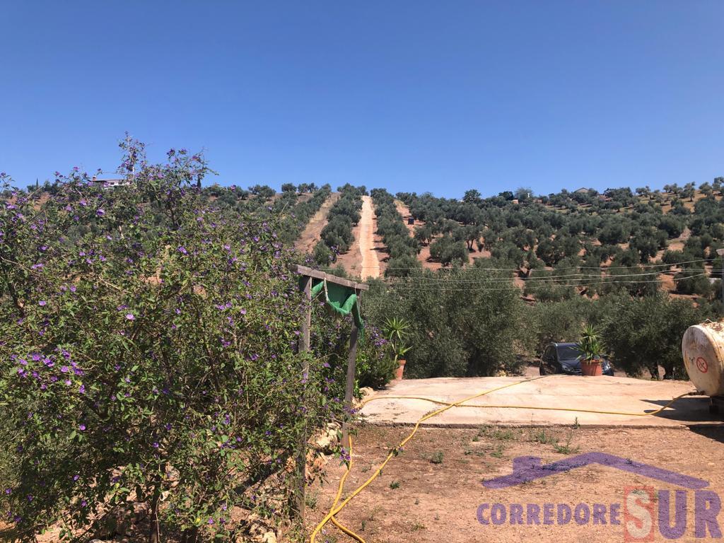 Finca rústica en Montoro