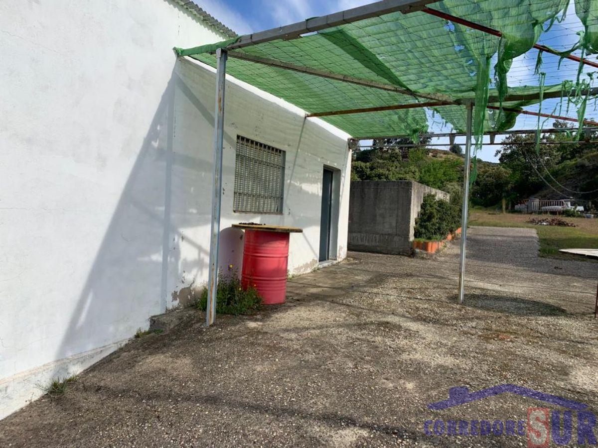 Finca rústica en Alcolea