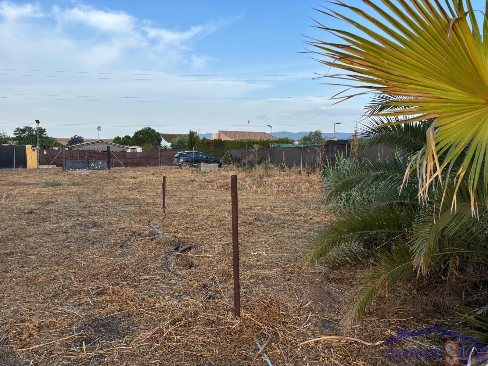 Terreno en Alcolea