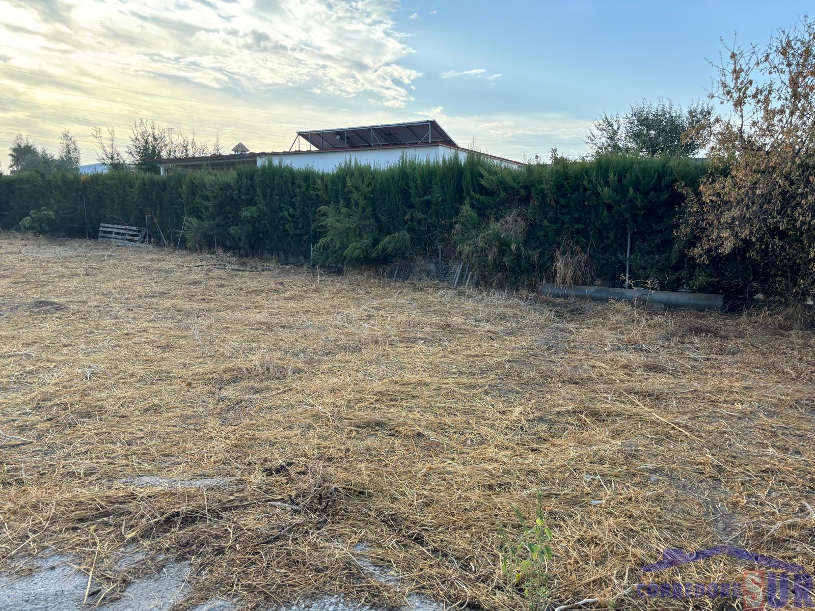 Terreno en Alcolea