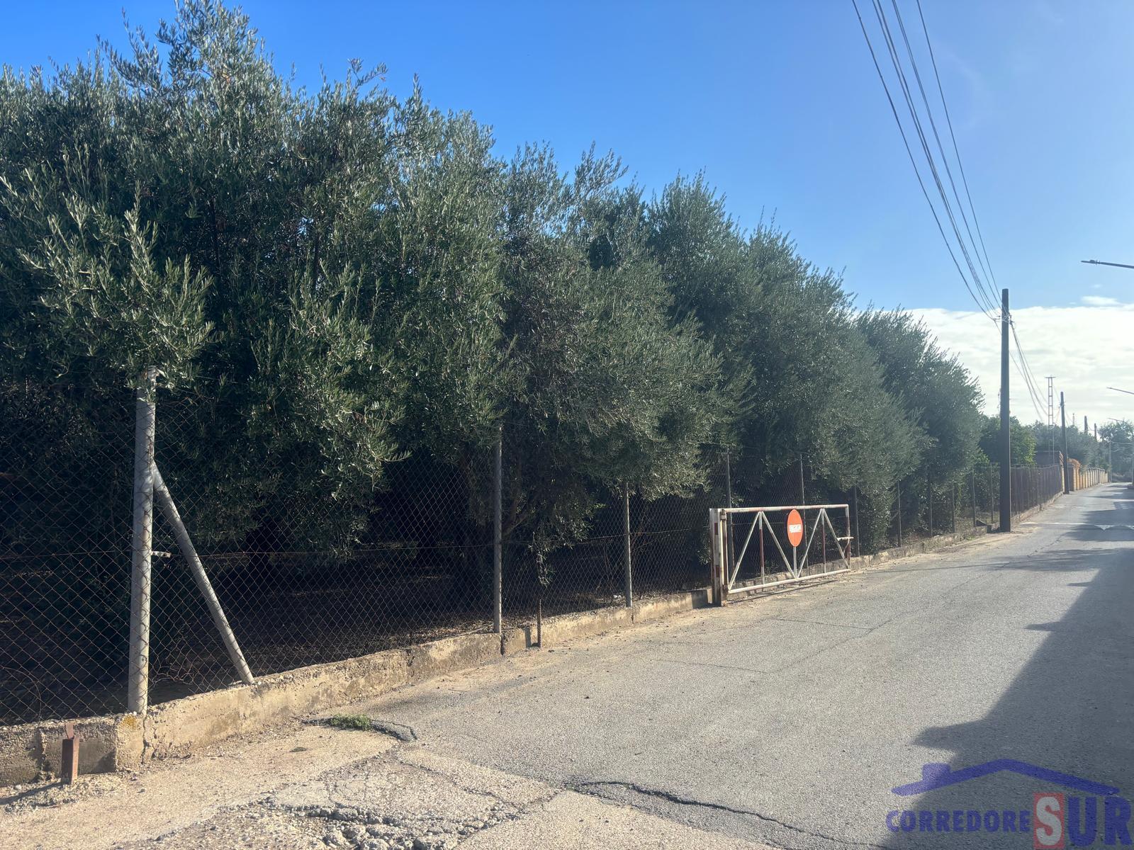 Terreno en Alcolea