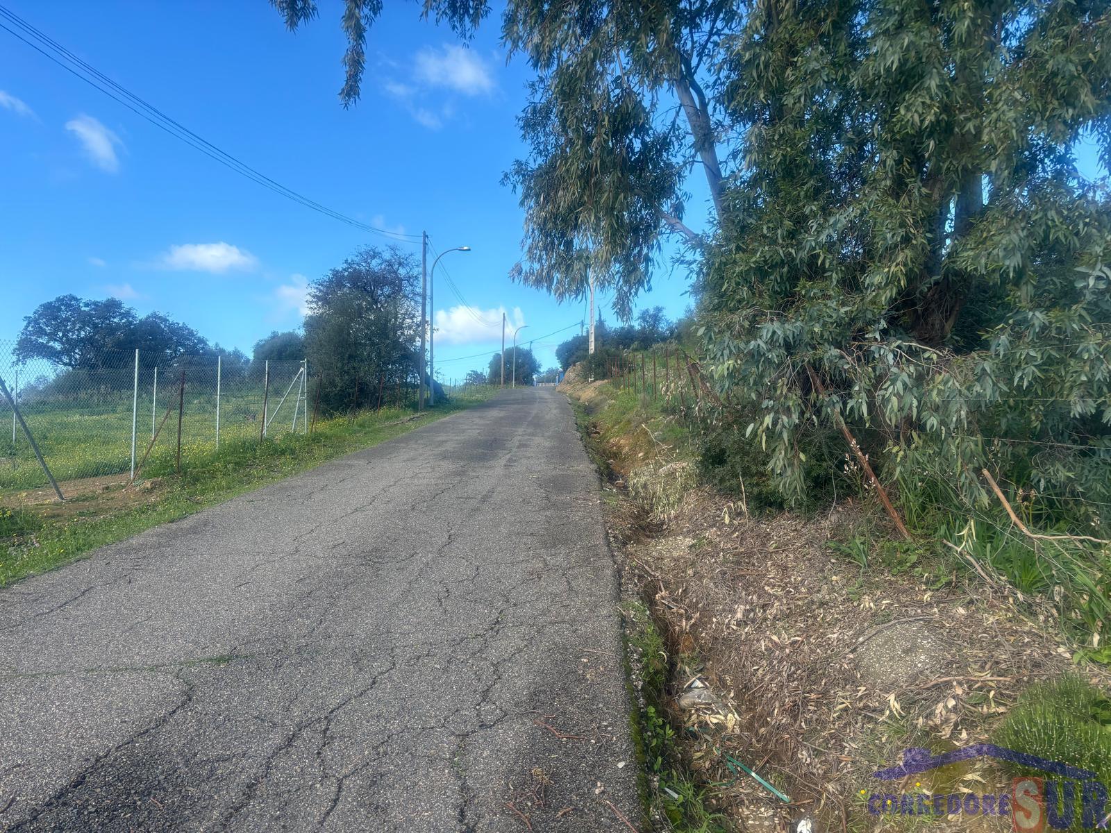 Finca rústica en Alcolea