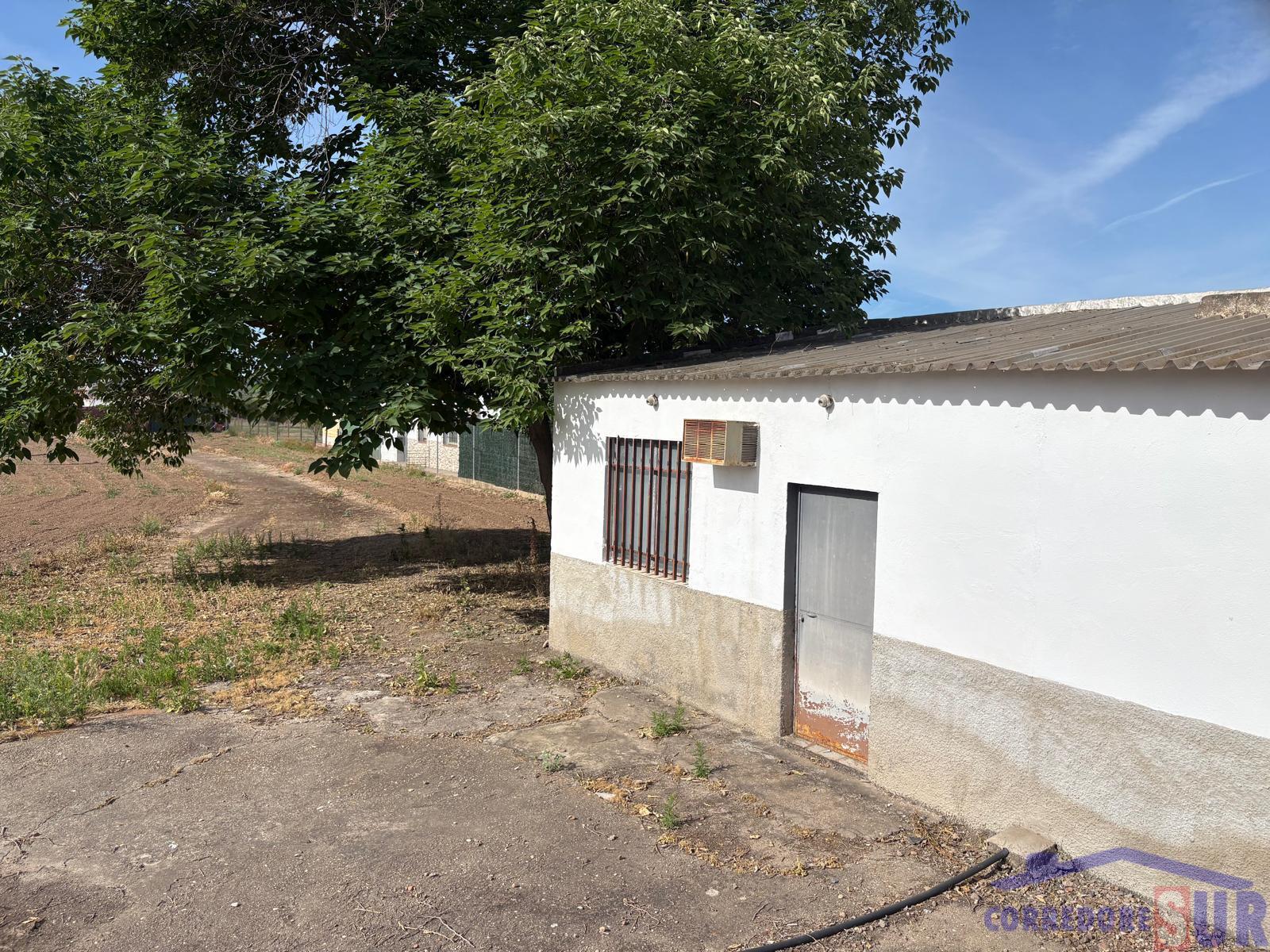 Finca rústica en Las Quemadas