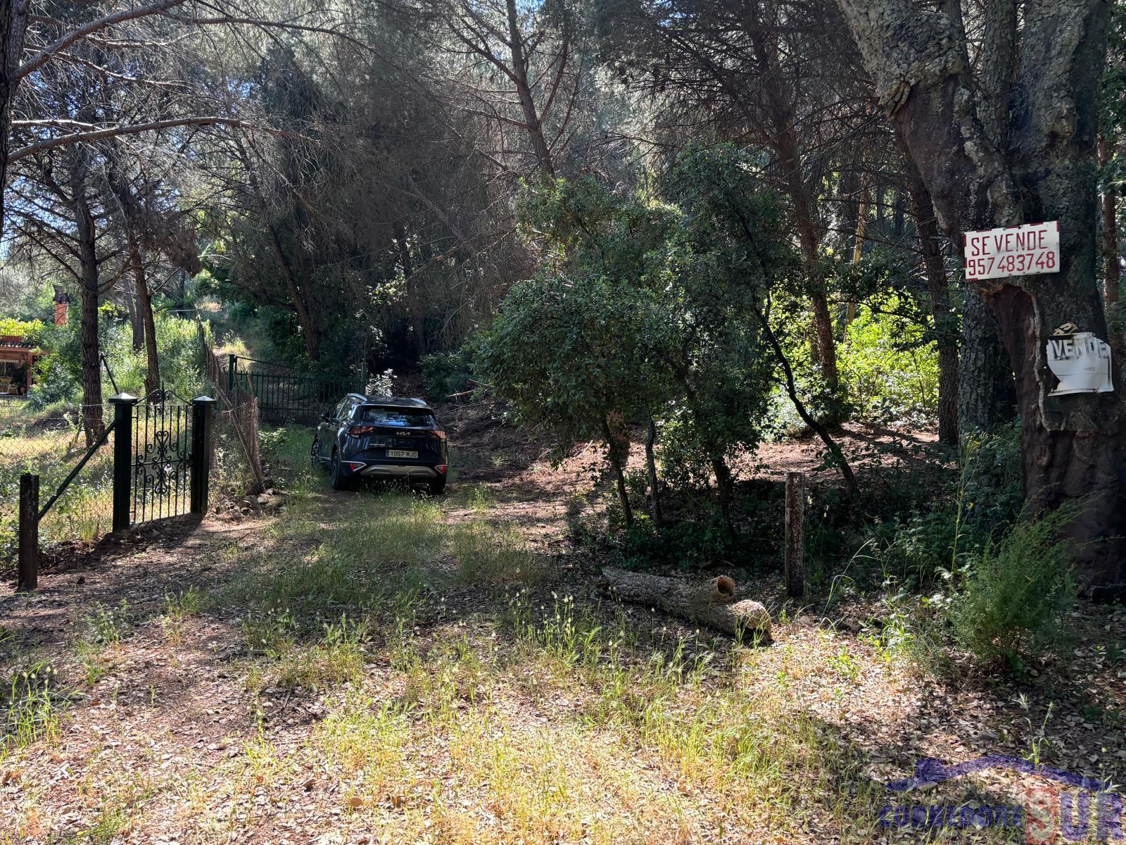 Finca rústica en Córdoba
