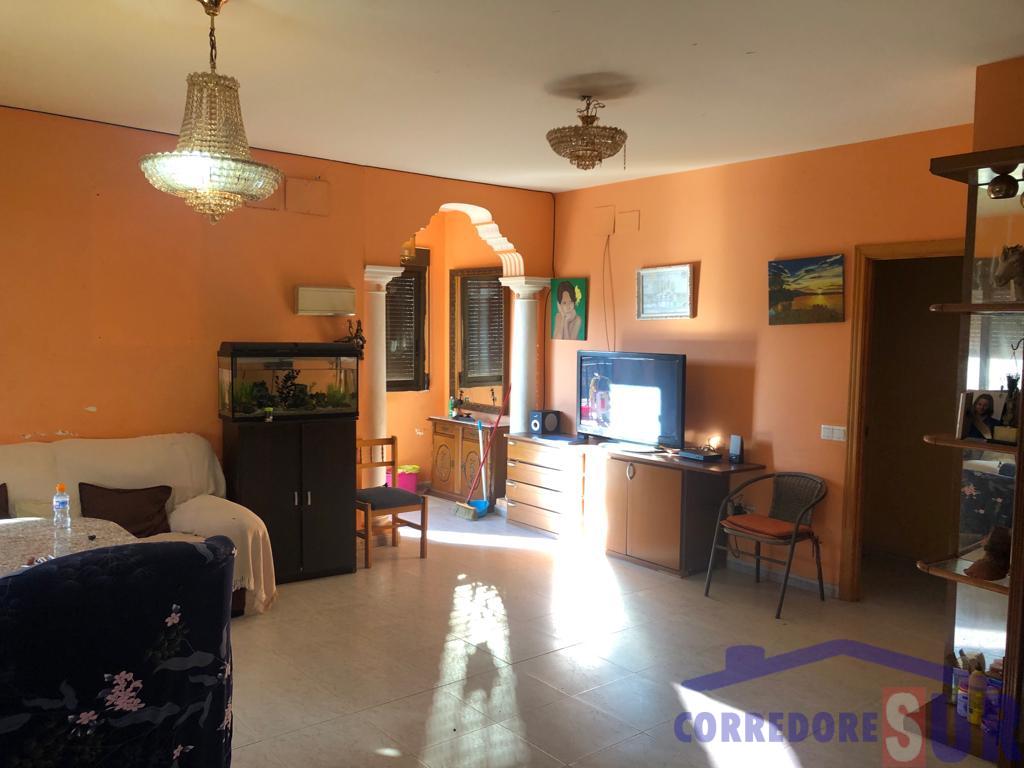 Chalet en Alcolea