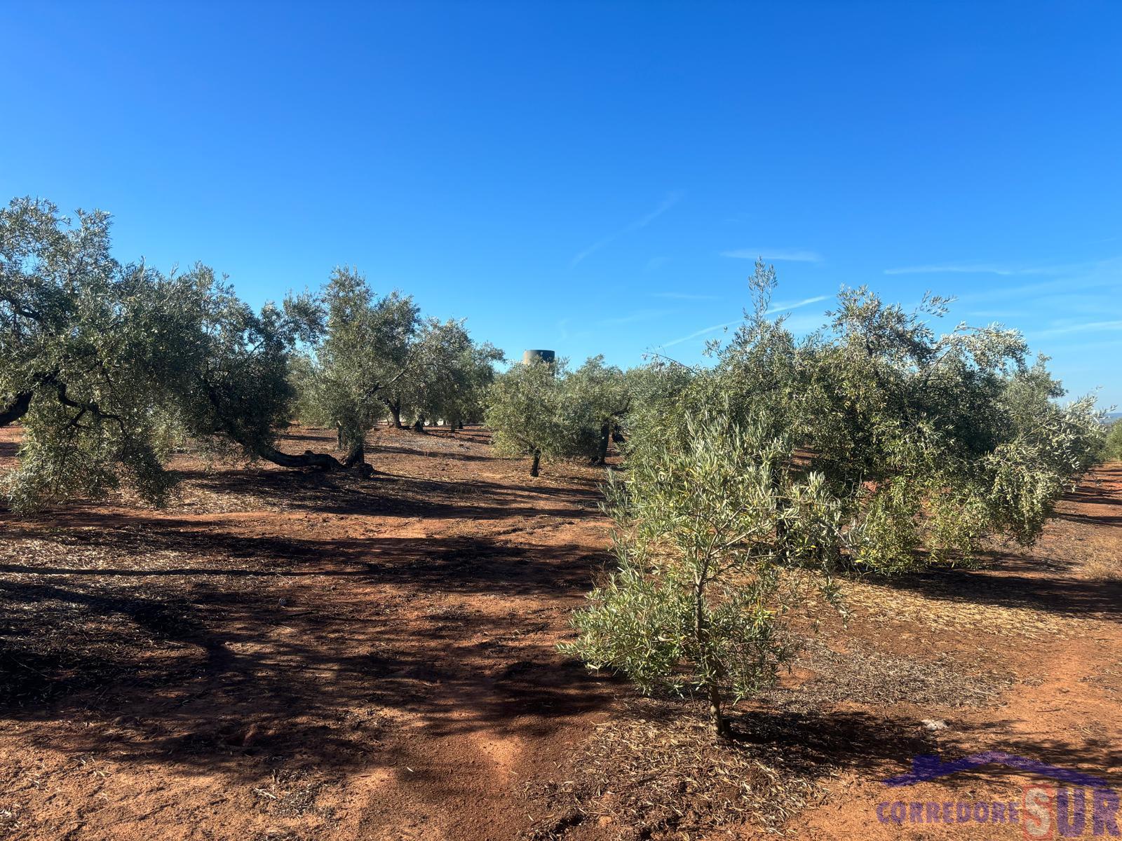 Finca rústica en Córdoba