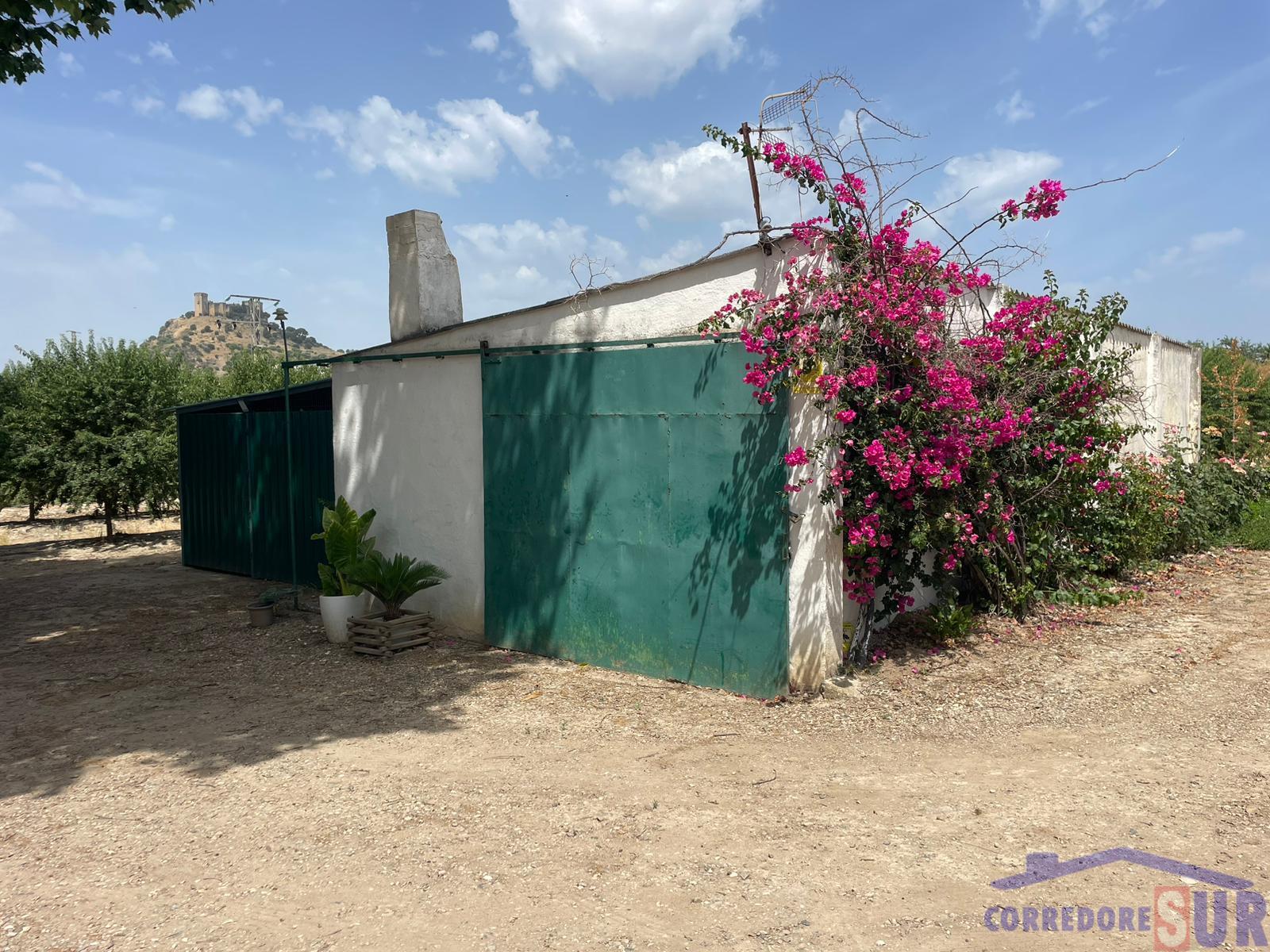 Finca rústica en Almodovar Del Rio