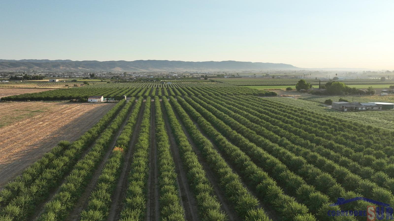 Finca de recreo en Encinarejo