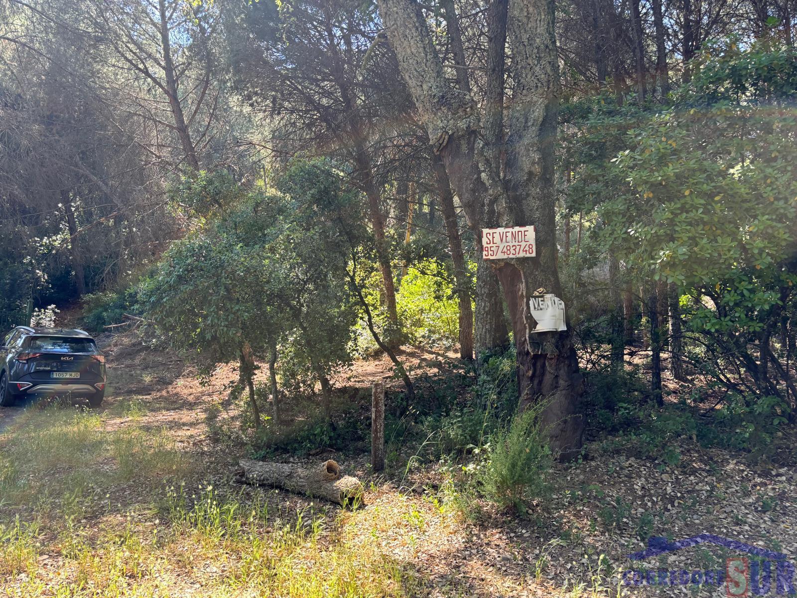 Finca rústica en Córdoba