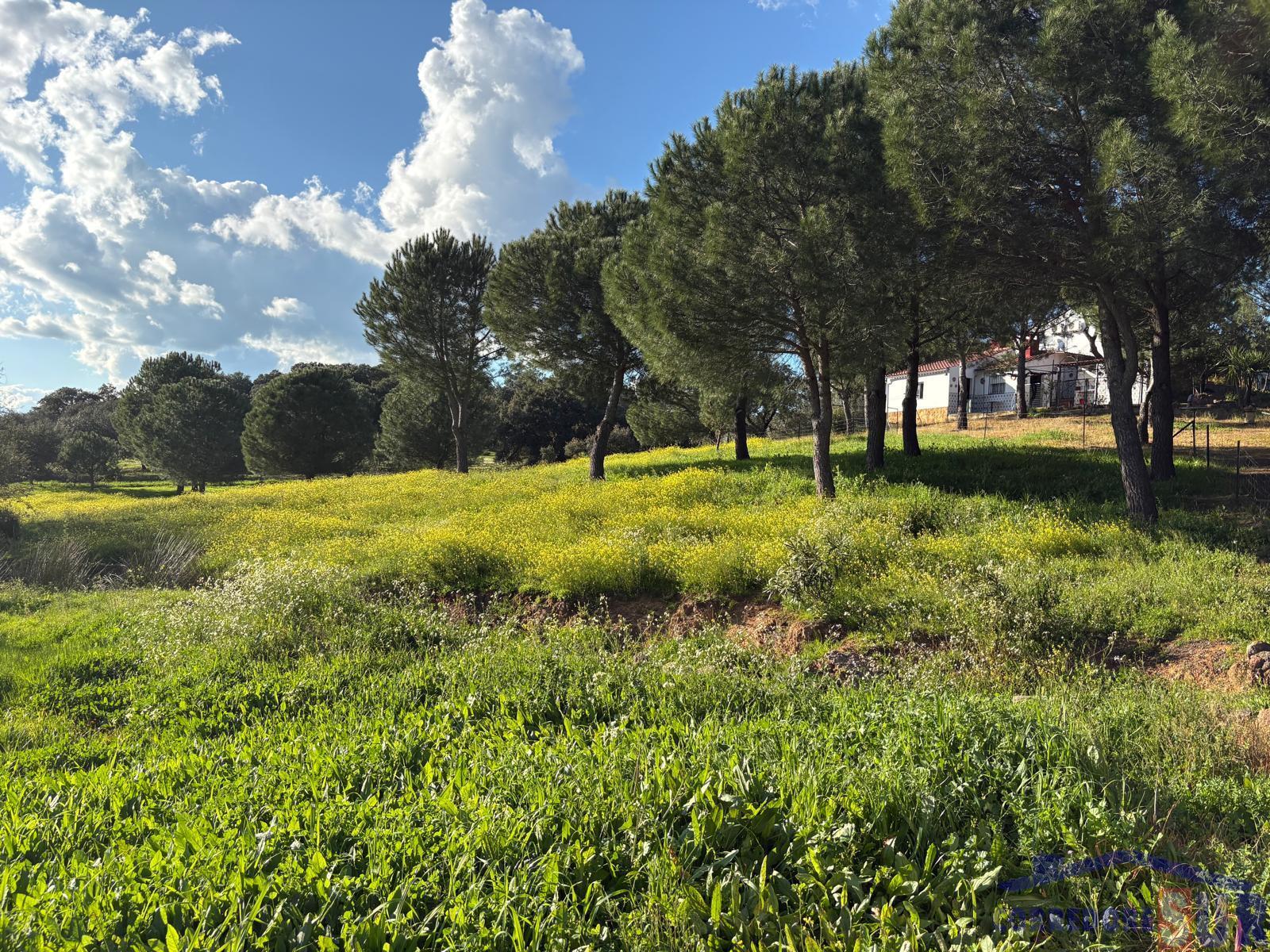 Finca rústica en Villaviciosa