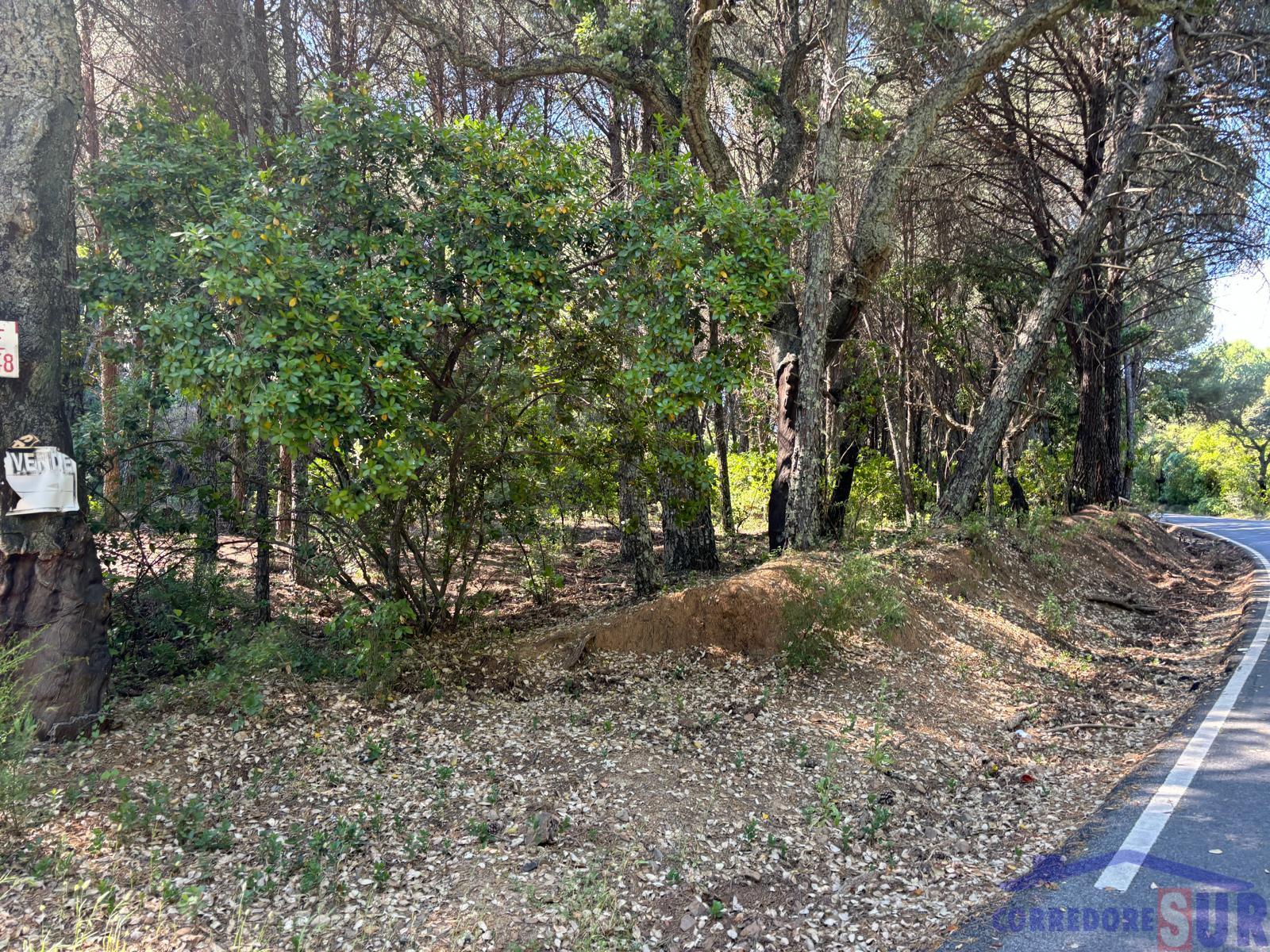 Finca rústica en Córdoba