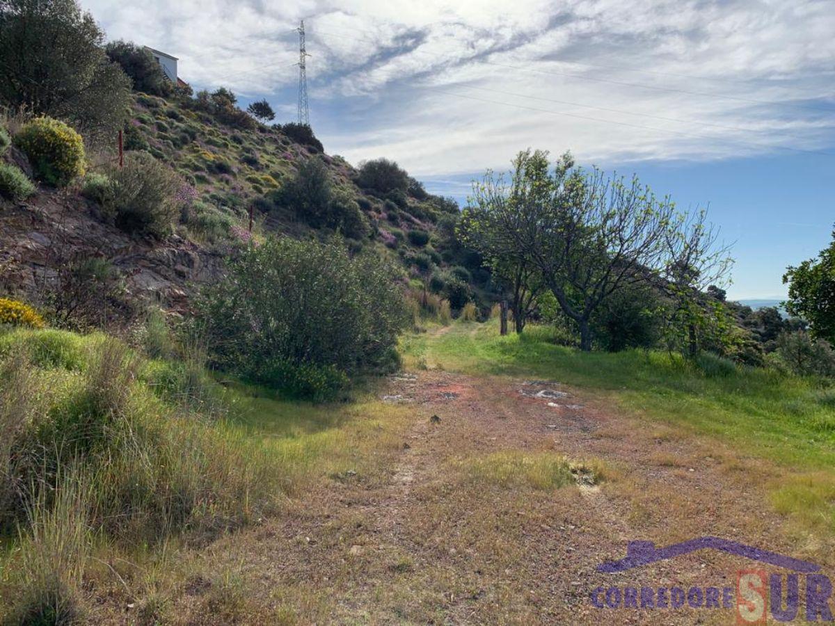 Finca rústica en Alcolea