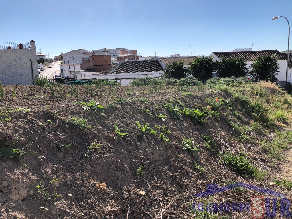 Terreno en Cañete Las Torres