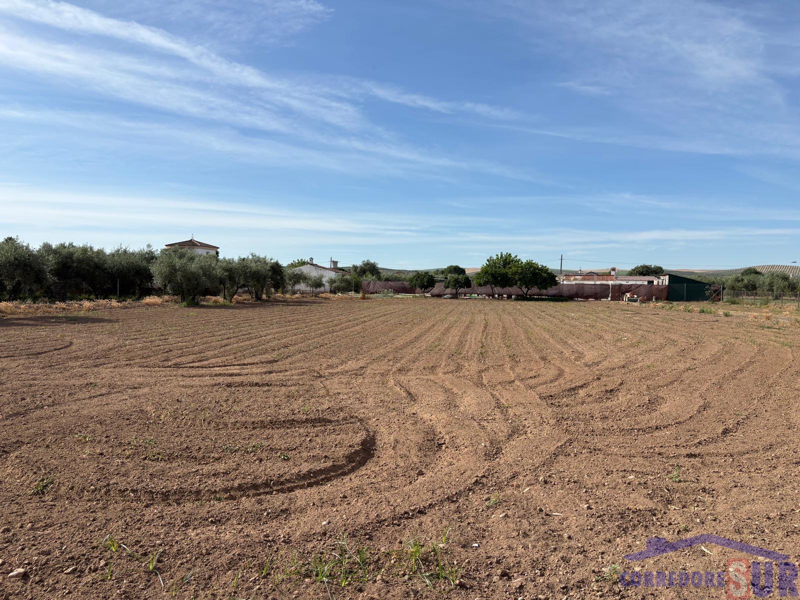 Finca rústica en Las Quemadas