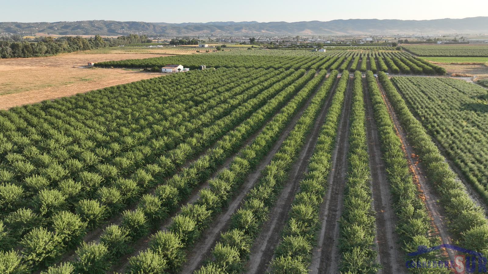 Finca de recreo en Encinarejo