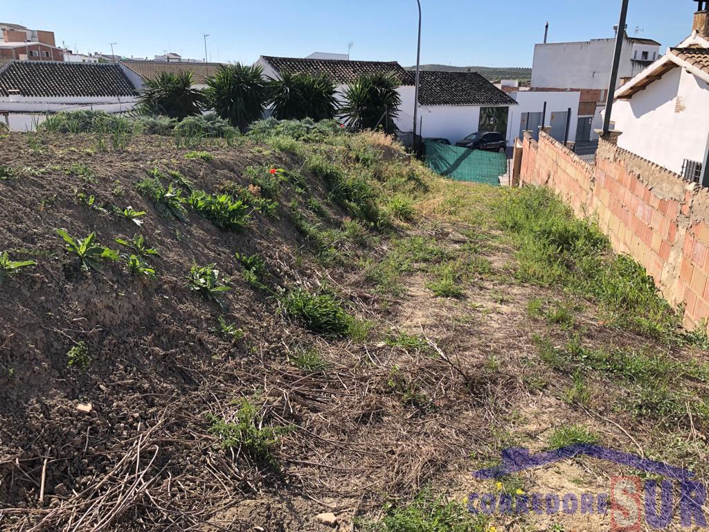 Terreno en Cañete Las Torres