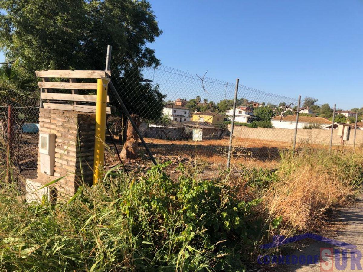 Terreno en Alcolea