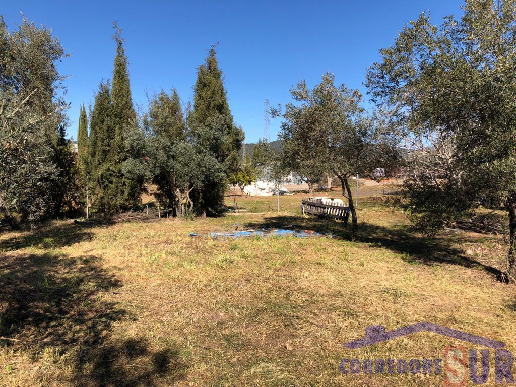 Terreno en Alcolea