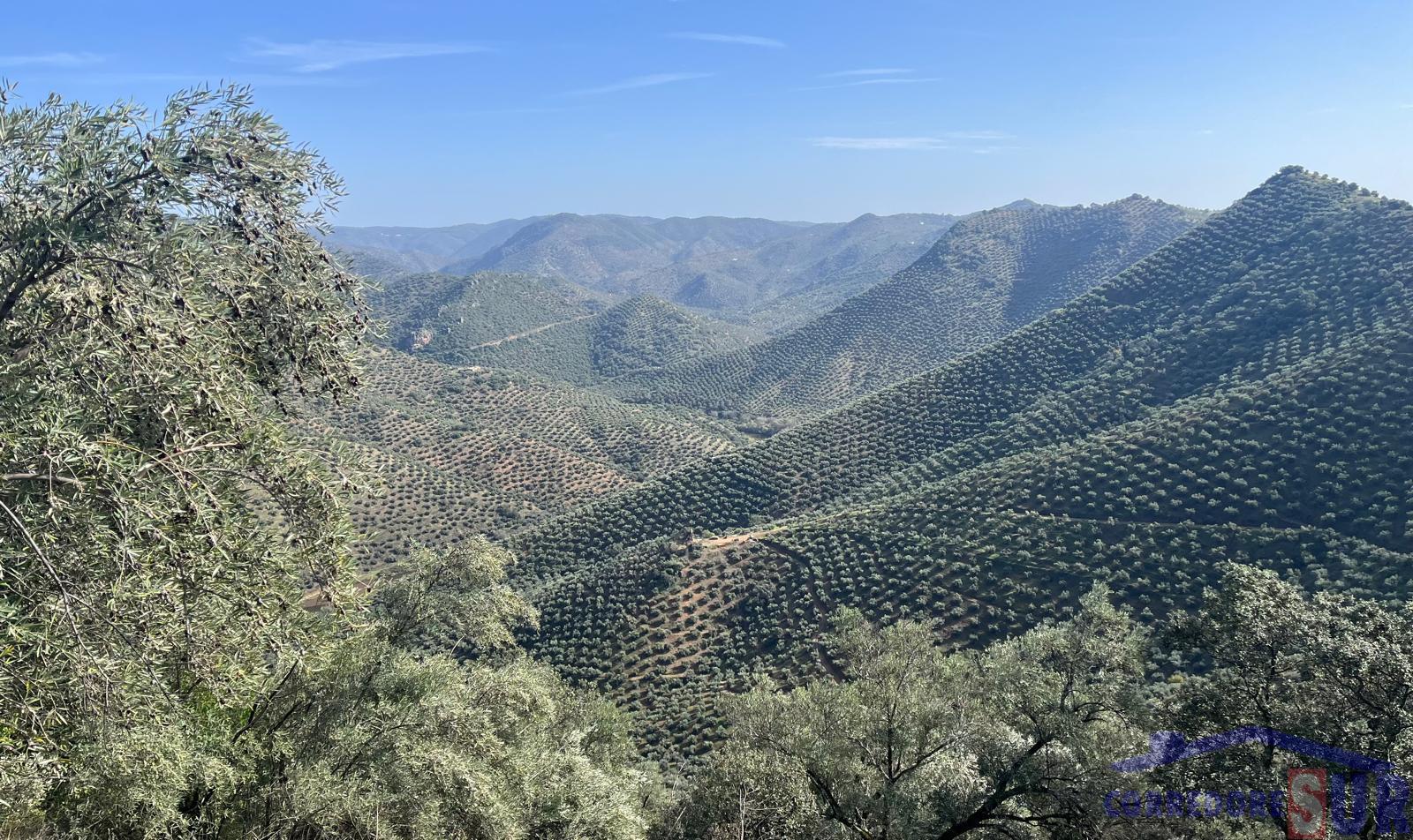 Finca rústica en Adamuz