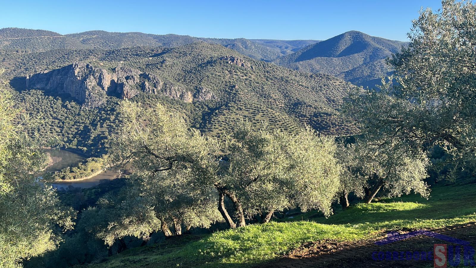 Finca rústica en Adamuz