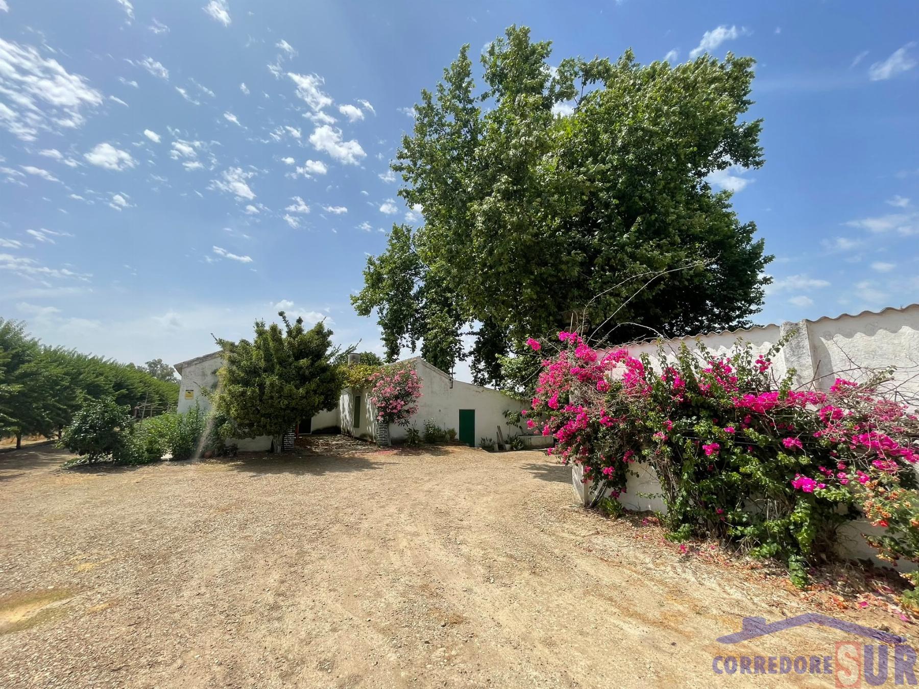 Finca rústica en Almodovar Del Rio