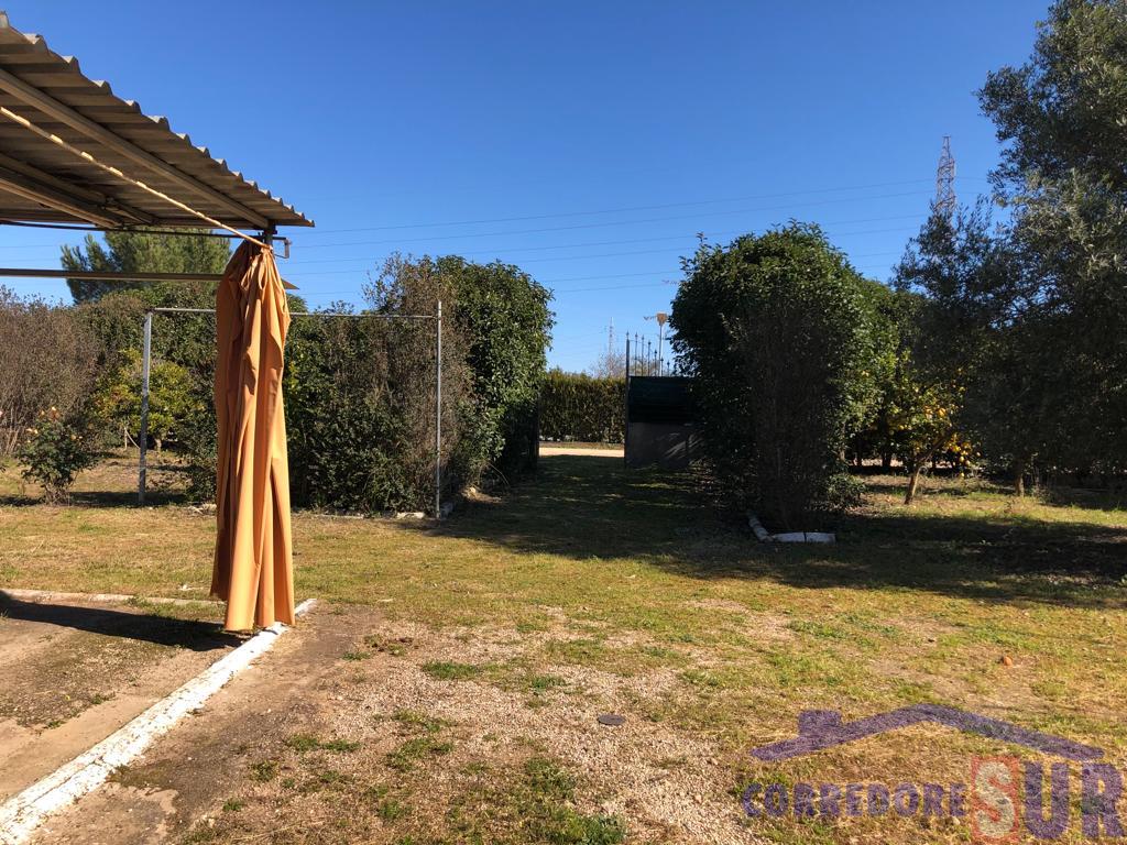 Terreno en Alcolea