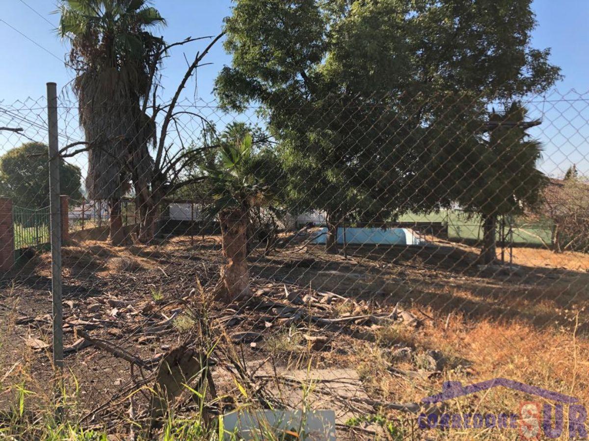 Terreno en Alcolea