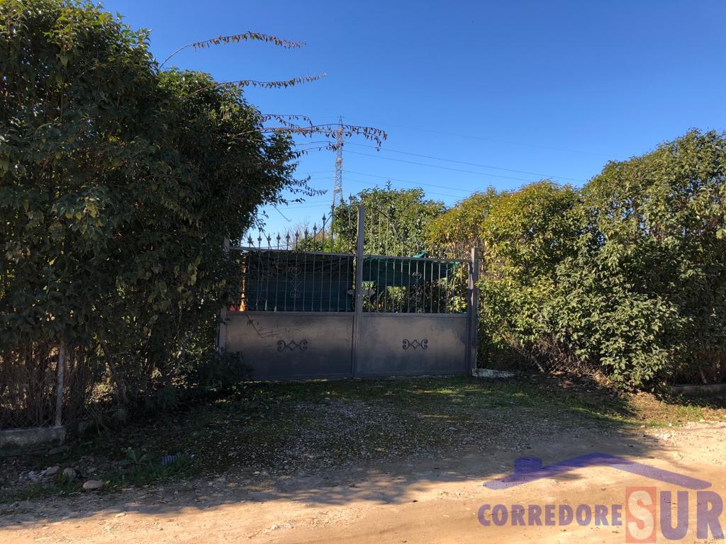 Terreno en Alcolea
