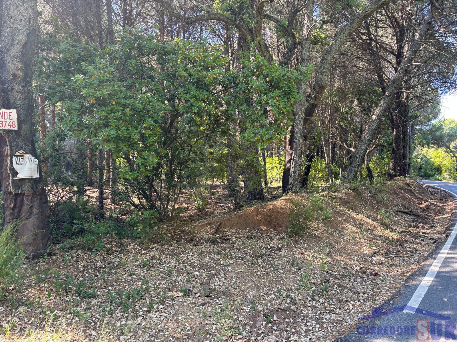 Finca rústica en Córdoba