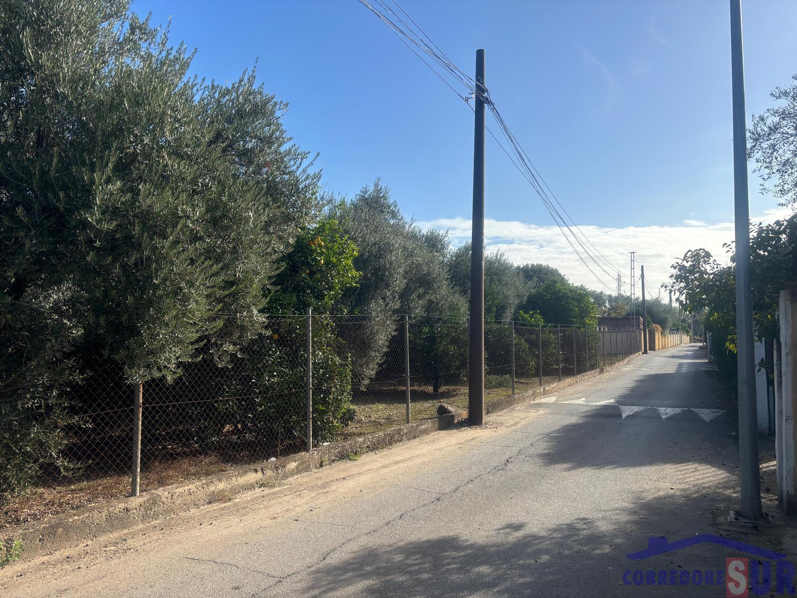 Terreno en Alcolea