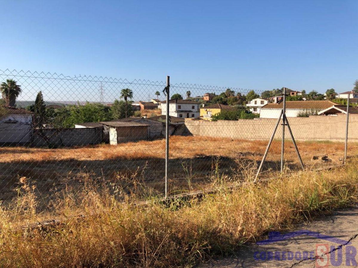 Terreno en Alcolea
