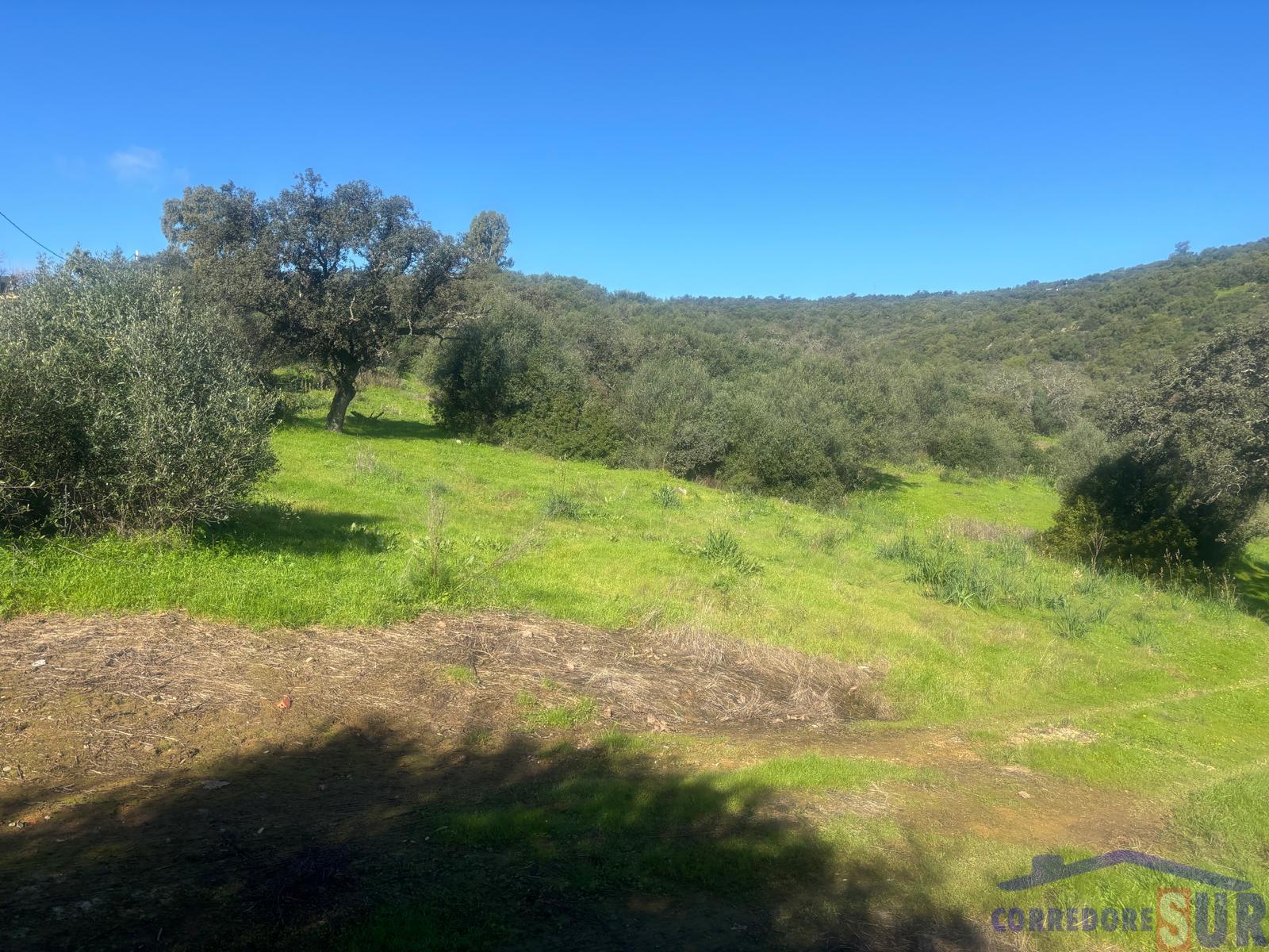 Finca rústica en Alcolea