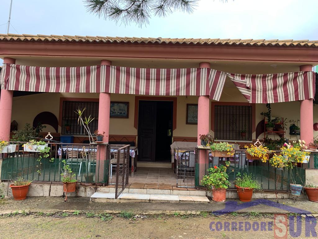 Finca rústica en Alcolea