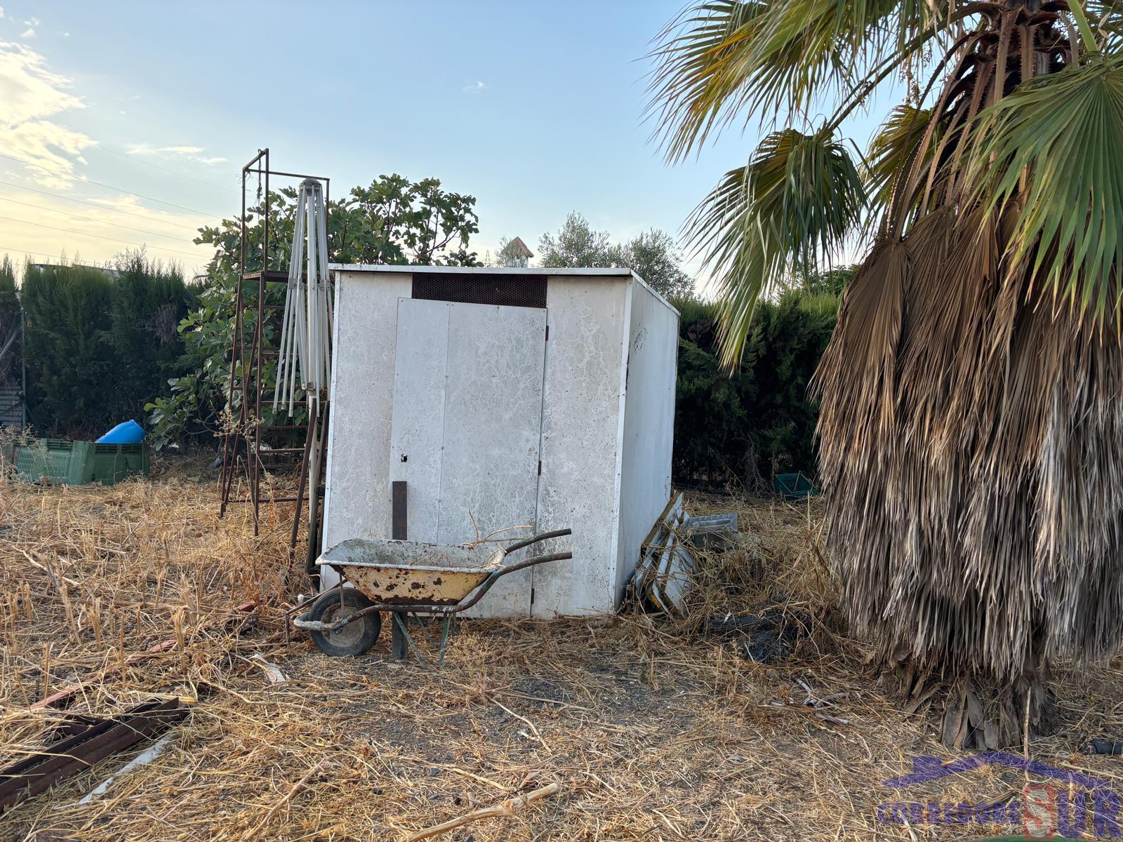Terreno en Alcolea