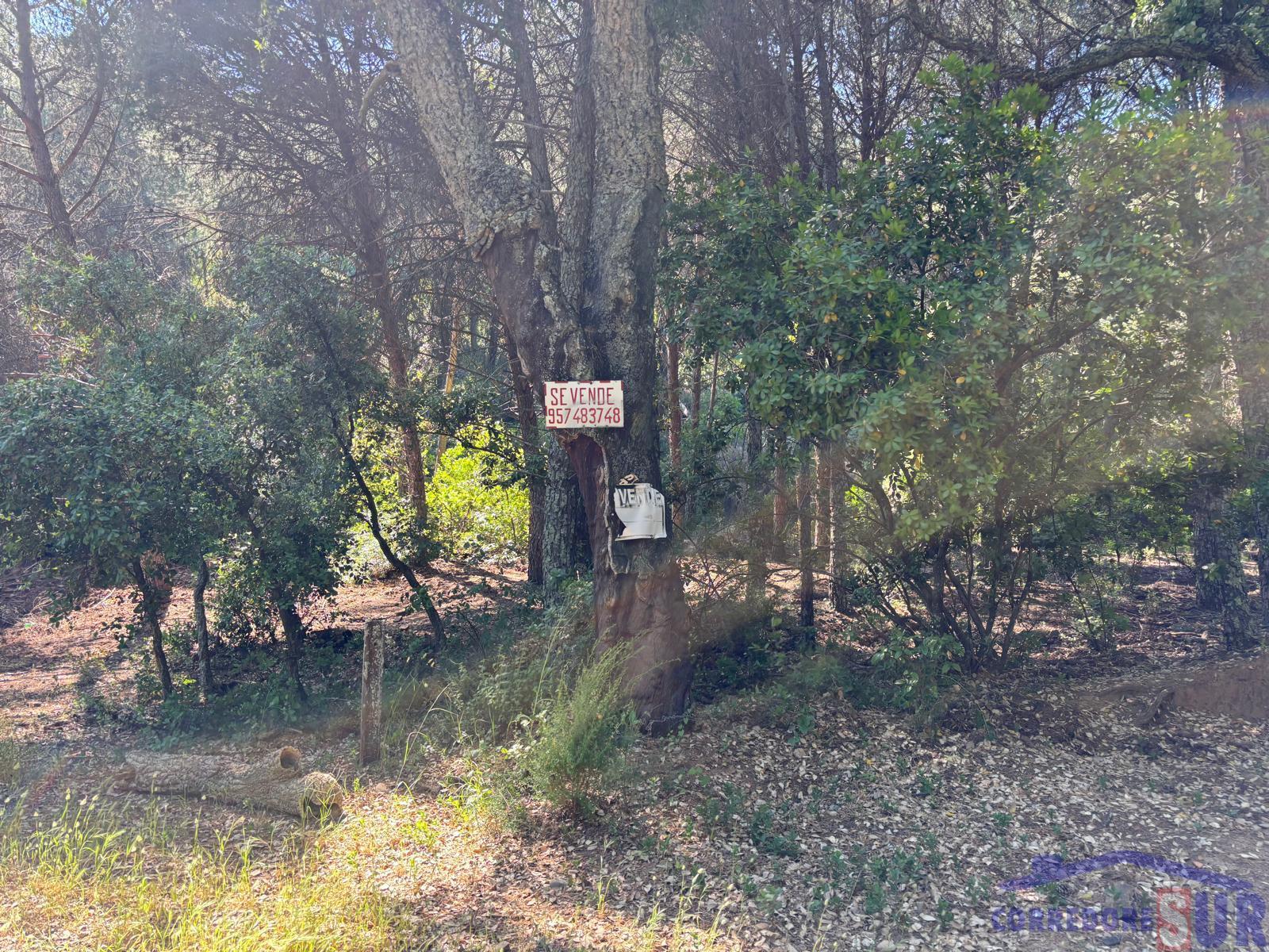 Finca rústica en Córdoba
