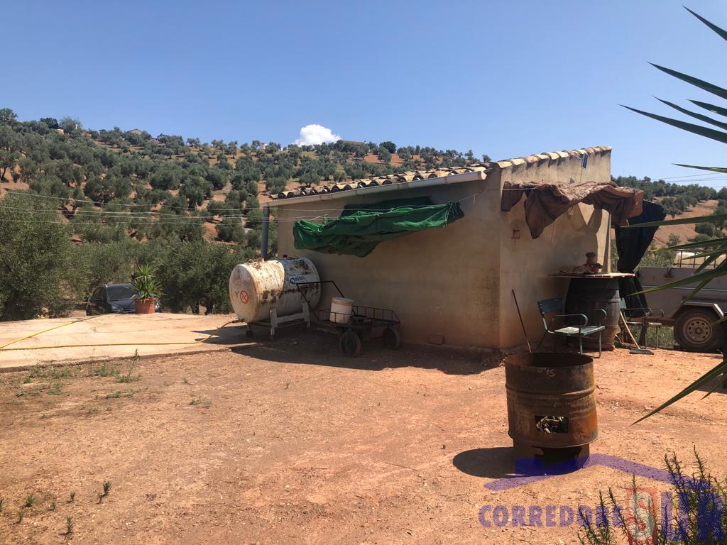 Finca rústica en Montoro
