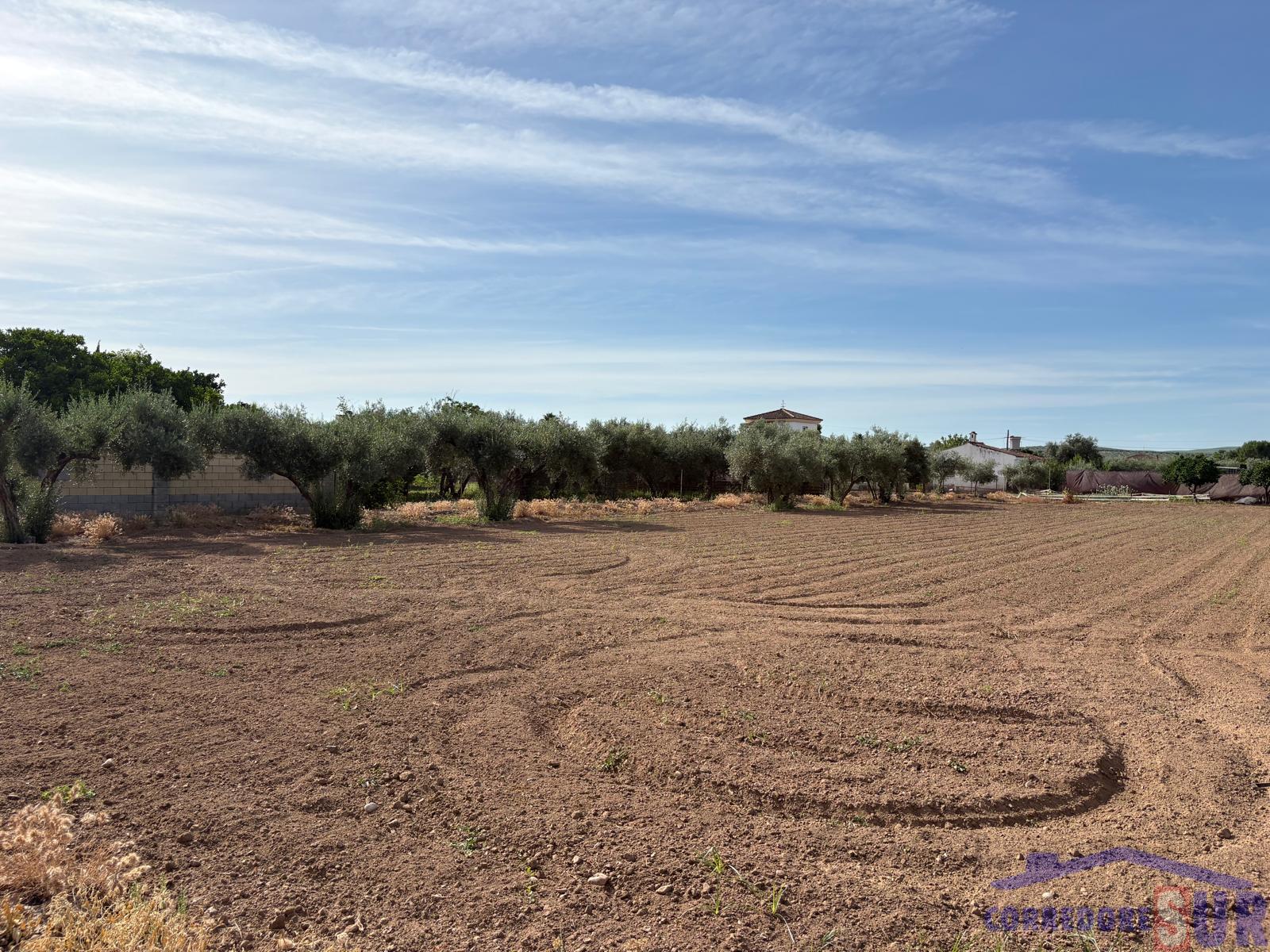 Finca rústica en Las Quemadas