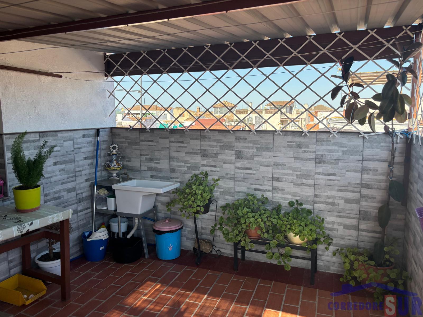 Casa en Alcolea